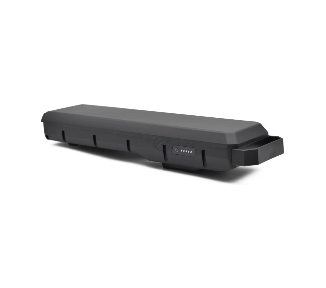 Bosch PowerPack 700 | Performance/Active | Gepäckträger | von E-Bike Vision