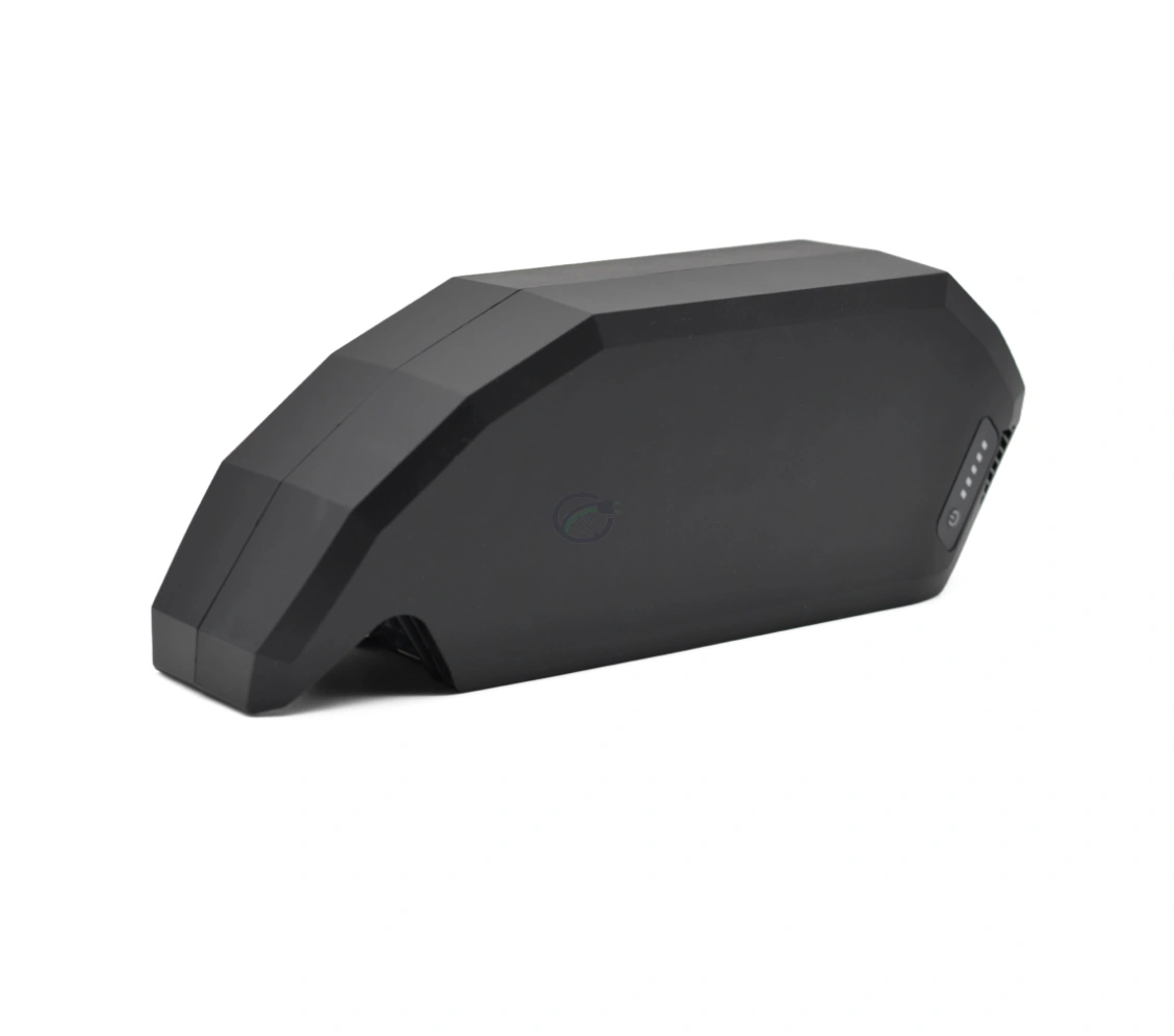 Bosch PowerPack 700 | Performance/Active | Rahmen | von E-Bike Vision