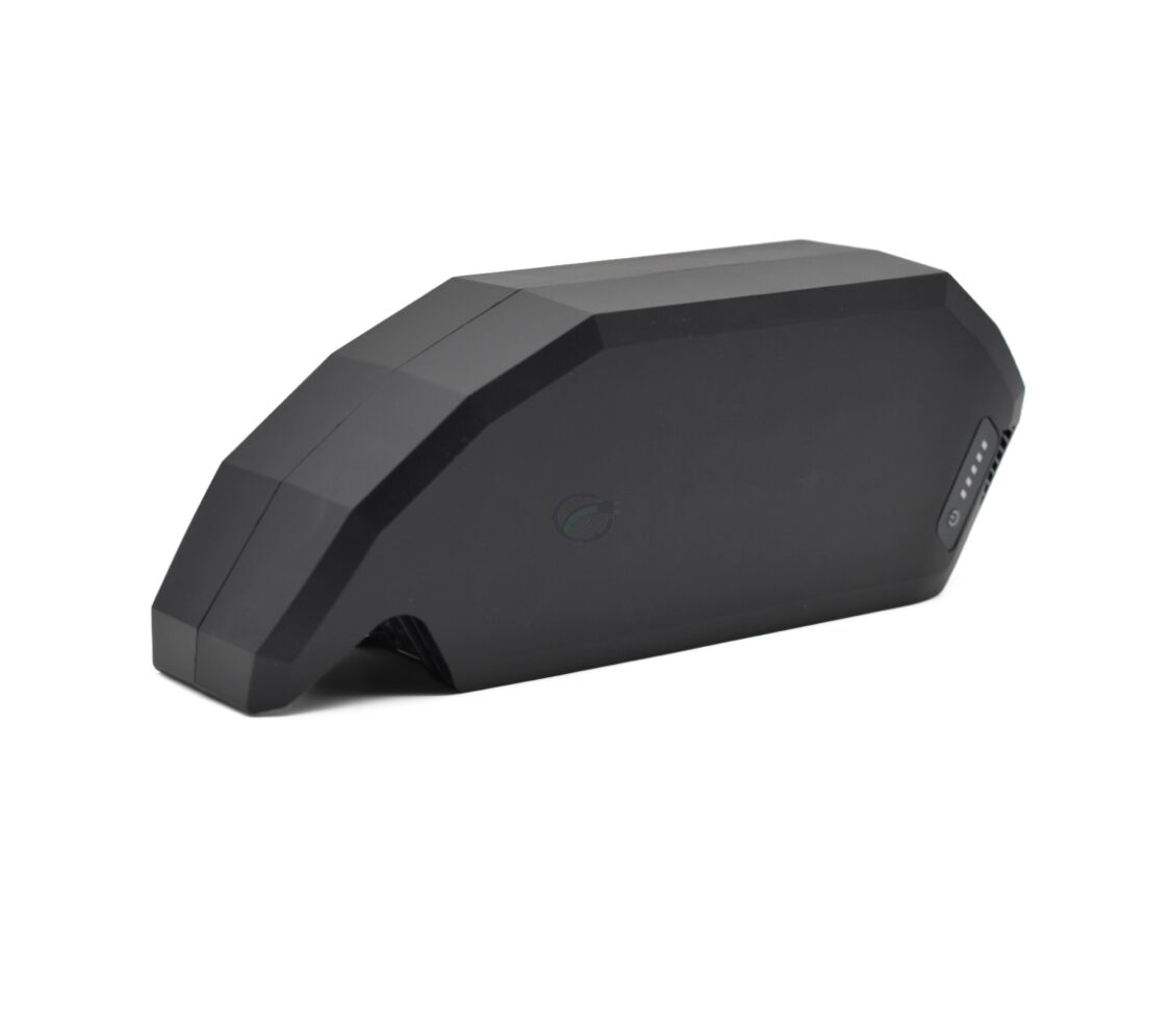 Bosch PowerPack 700 | Performance/Active | Rahmen | von E-Bike Vision